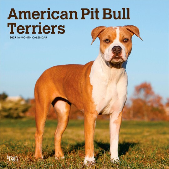 BrownTrout; American Pit Bull Terriers | 2027 12 x 24 Inch (Hanging) Monthly Square Wall Calendar | Plastic-Free; Category:Wall Calendars; Image:1